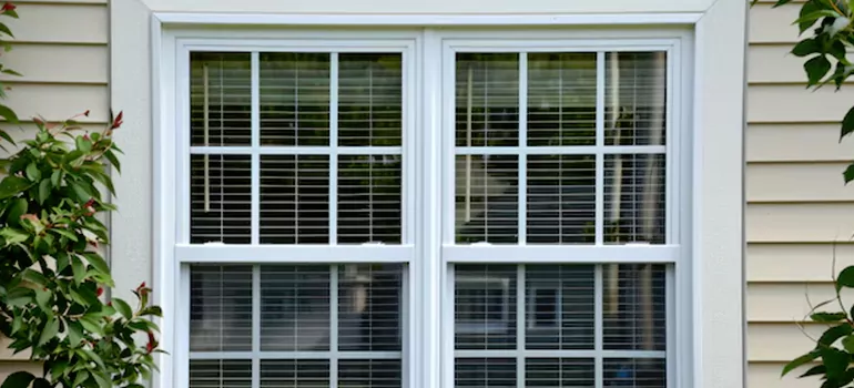 Custom Double Hung Windows in San Francisco, CA