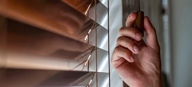 Double Roller Blinds in San Francisco, CA