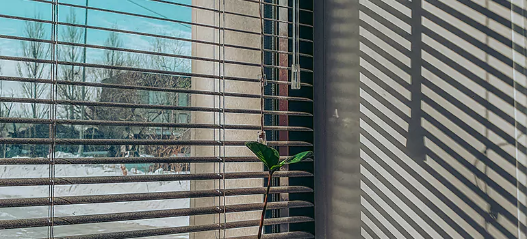 Commercial Window Blinds in San Francisco, CA