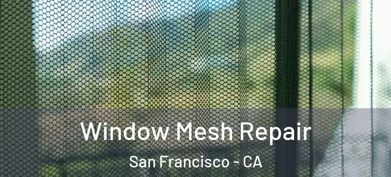  Window Mesh Repair San Francisco - CA