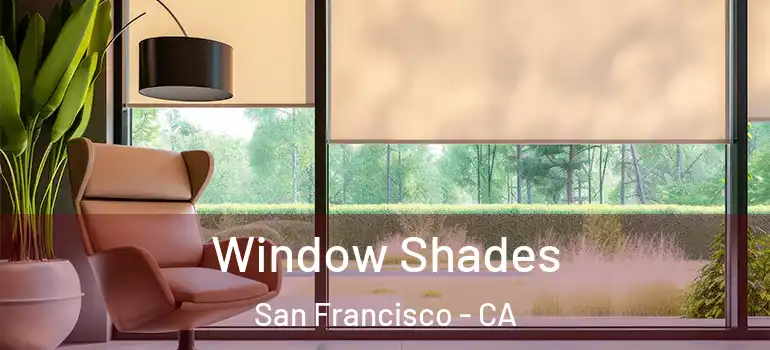  Window Shades San Francisco - CA